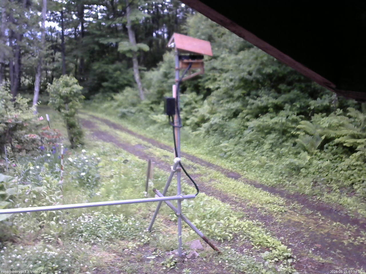 長野県菅平高原 ゆたか山荘 南側 2026/06/15 07:30
