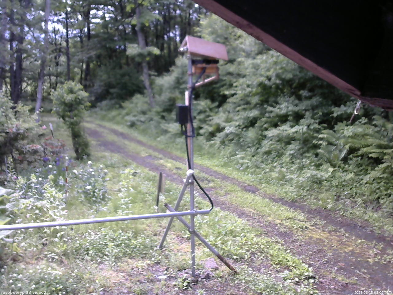 長野県菅平高原 ゆたか山荘 南側 2026/06/15 08:00