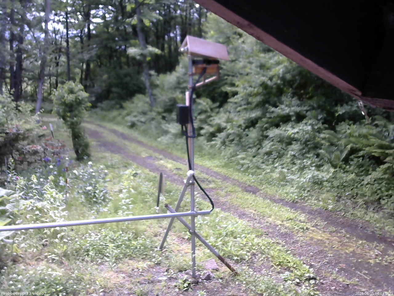 長野県菅平高原 ゆたか山荘 南側 2026/06/15 08:15