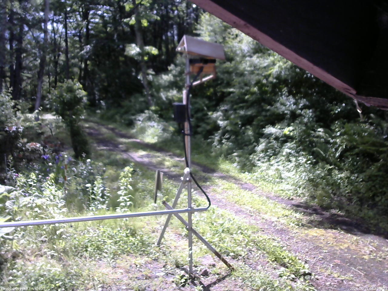 長野県菅平高原 ゆたか山荘 南側 2026/06/15 08:30