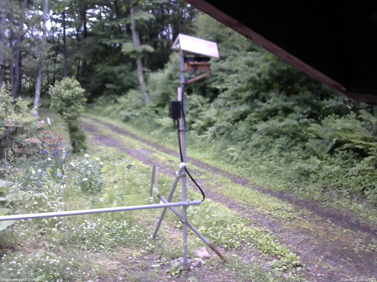 長野県菅平高原 ゆたか山荘 南側 2026/06/15 08:45
