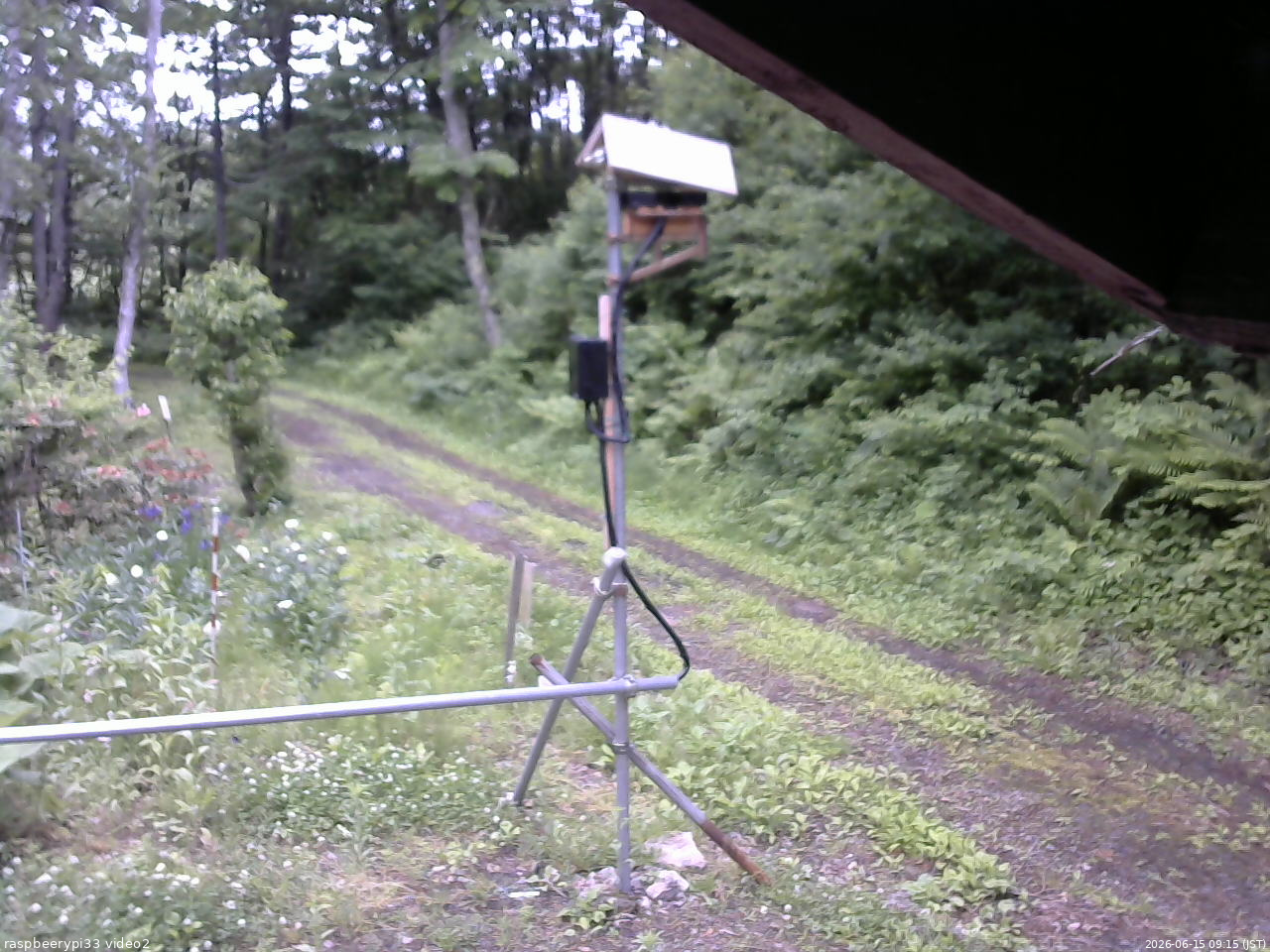 長野県菅平高原 ゆたか山荘 南側 2026/06/15 09:15