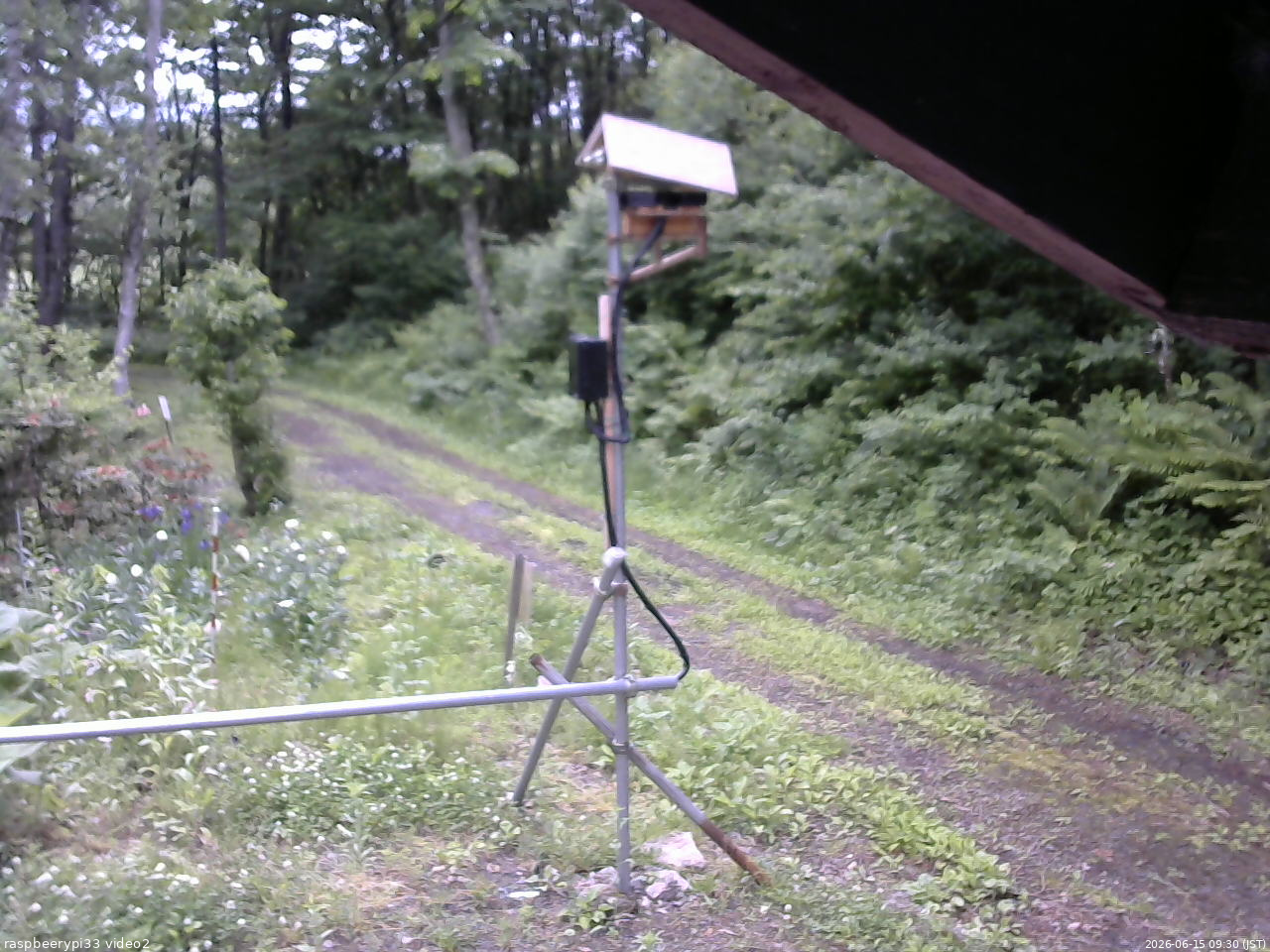 長野県菅平高原 ゆたか山荘 南側 2026/06/15 09:30