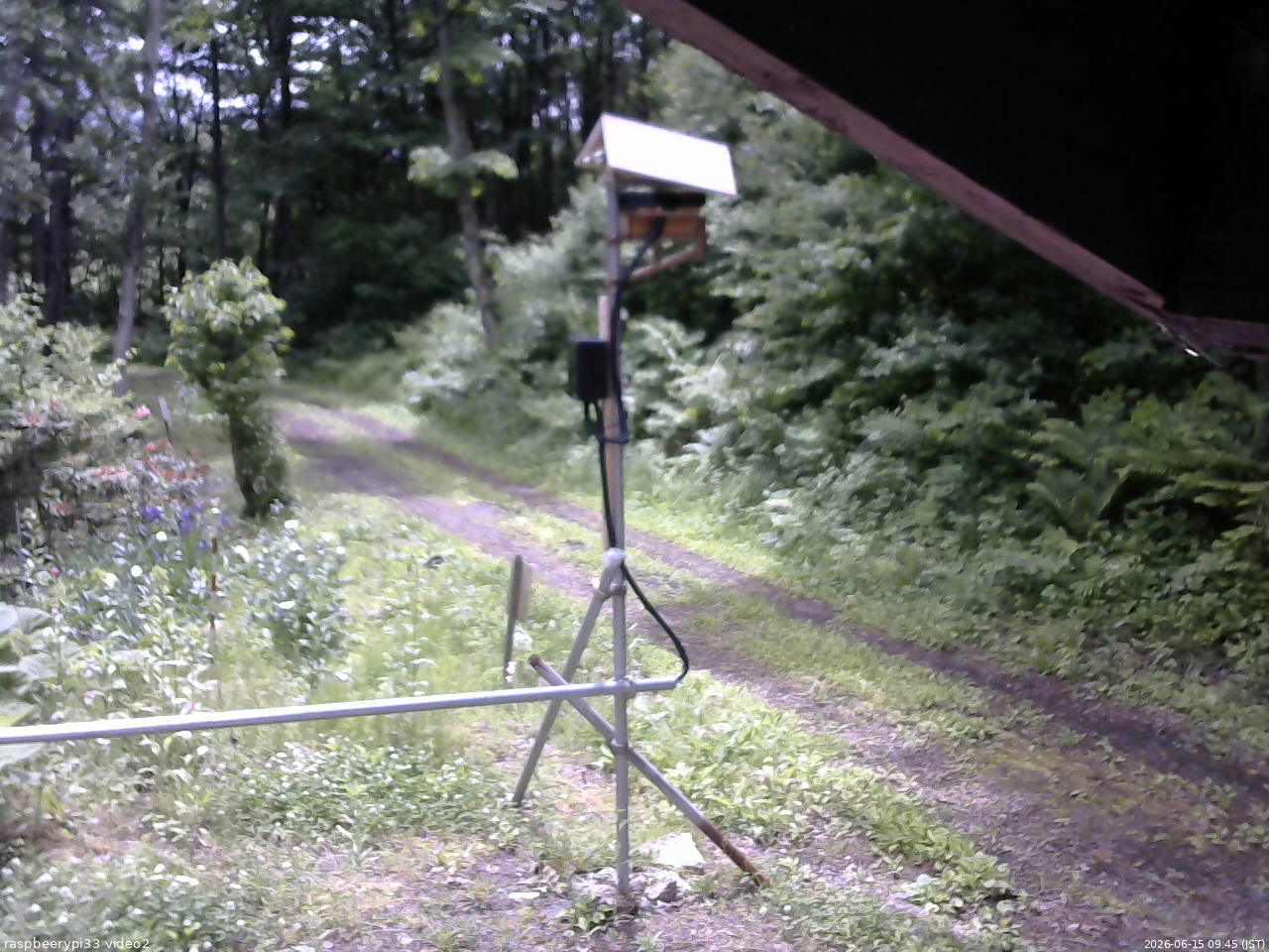 長野県菅平高原 ゆたか山荘 南側 2026/06/15 09:45