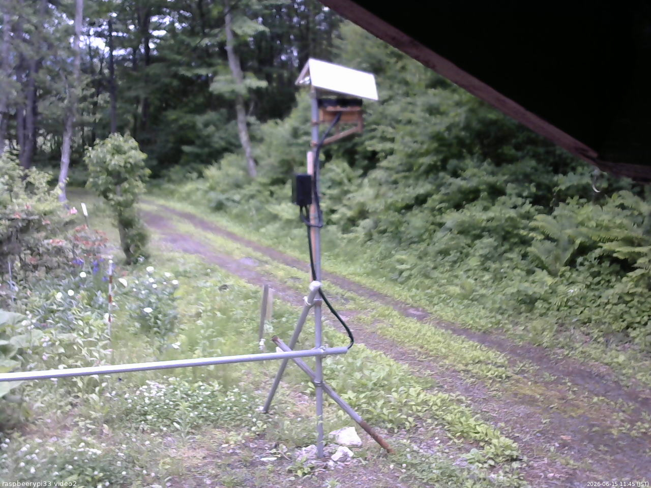 長野県菅平高原 ゆたか山荘 南側 2026/06/15 11:45