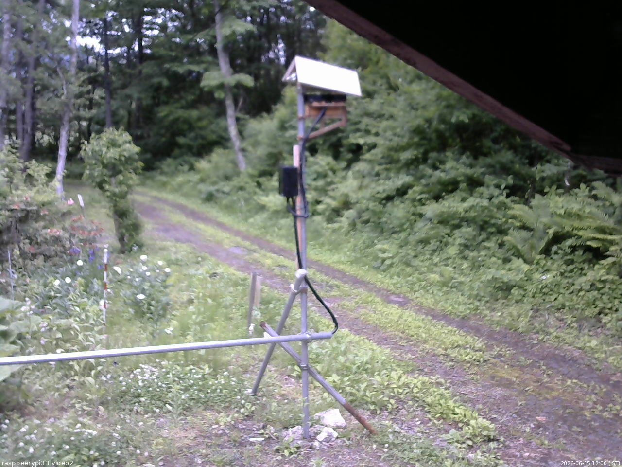 長野県菅平高原 ゆたか山荘 南側 2026/06/15 12:00