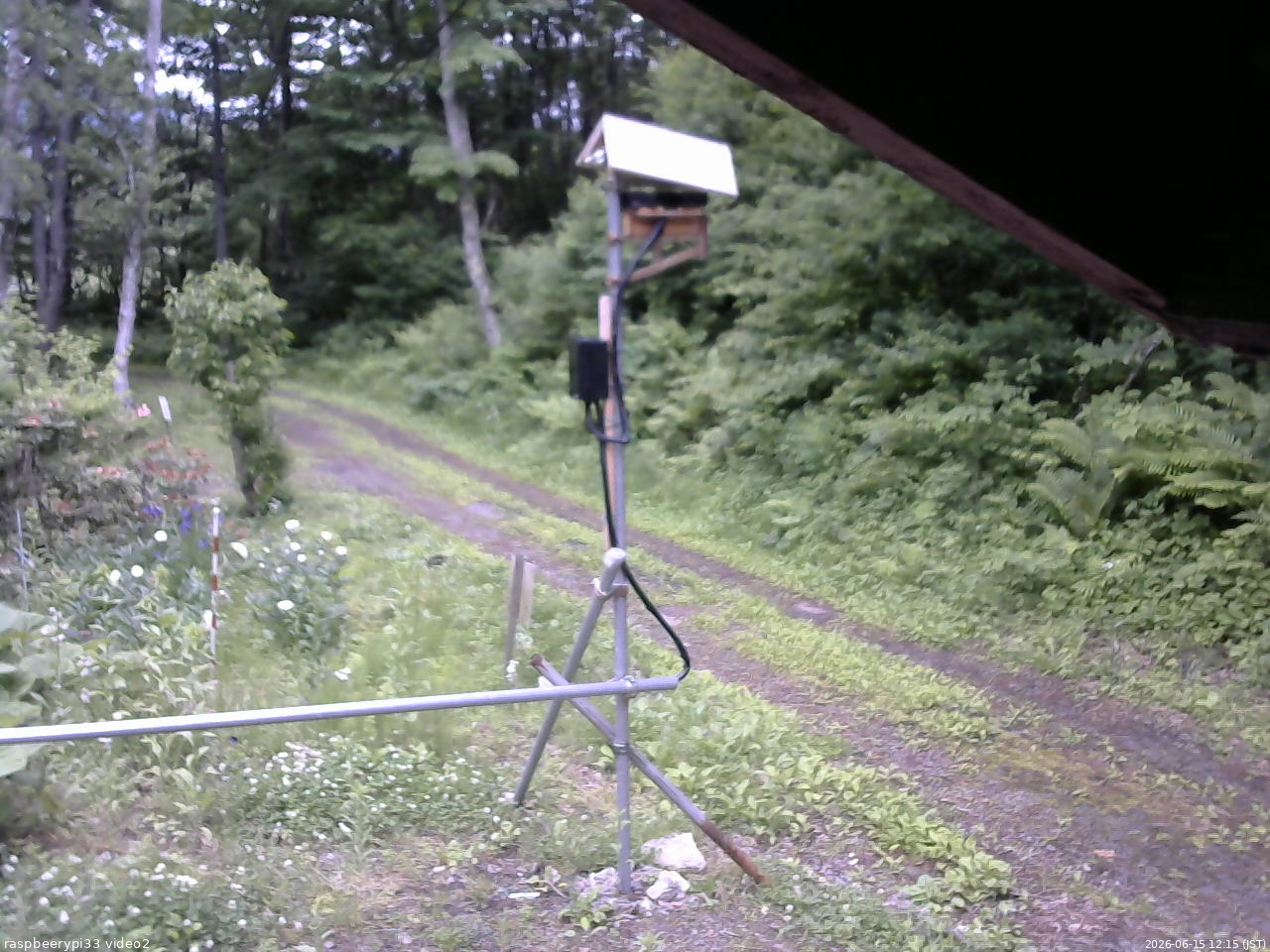 長野県菅平高原 ゆたか山荘 南側 2026/06/15 12:15