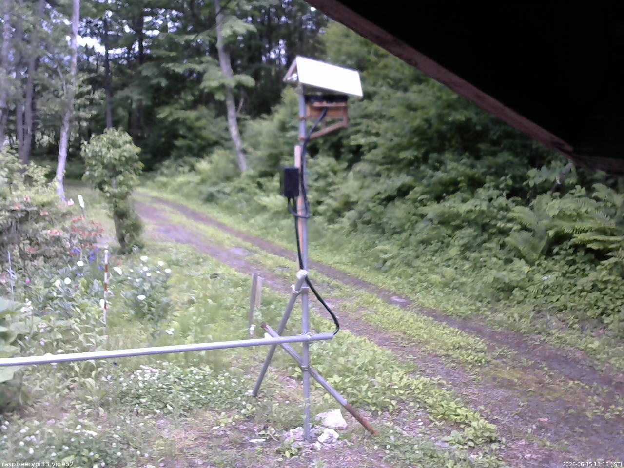 長野県菅平高原 ゆたか山荘 南側 2026/06/15 13:15