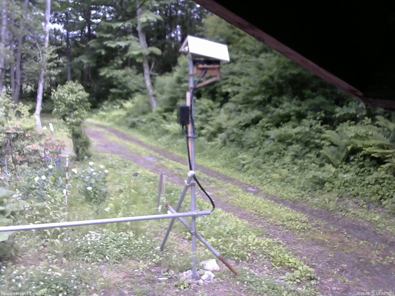 長野県菅平高原 ゆたか山荘 南側 2026/06/15 13:30