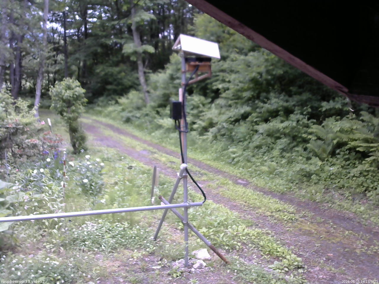 長野県菅平高原 ゆたか山荘 南側 2026/06/15 14:15