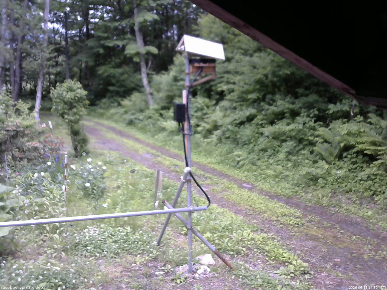 長野県菅平高原 ゆたか山荘 南側 2026/06/15 14:30