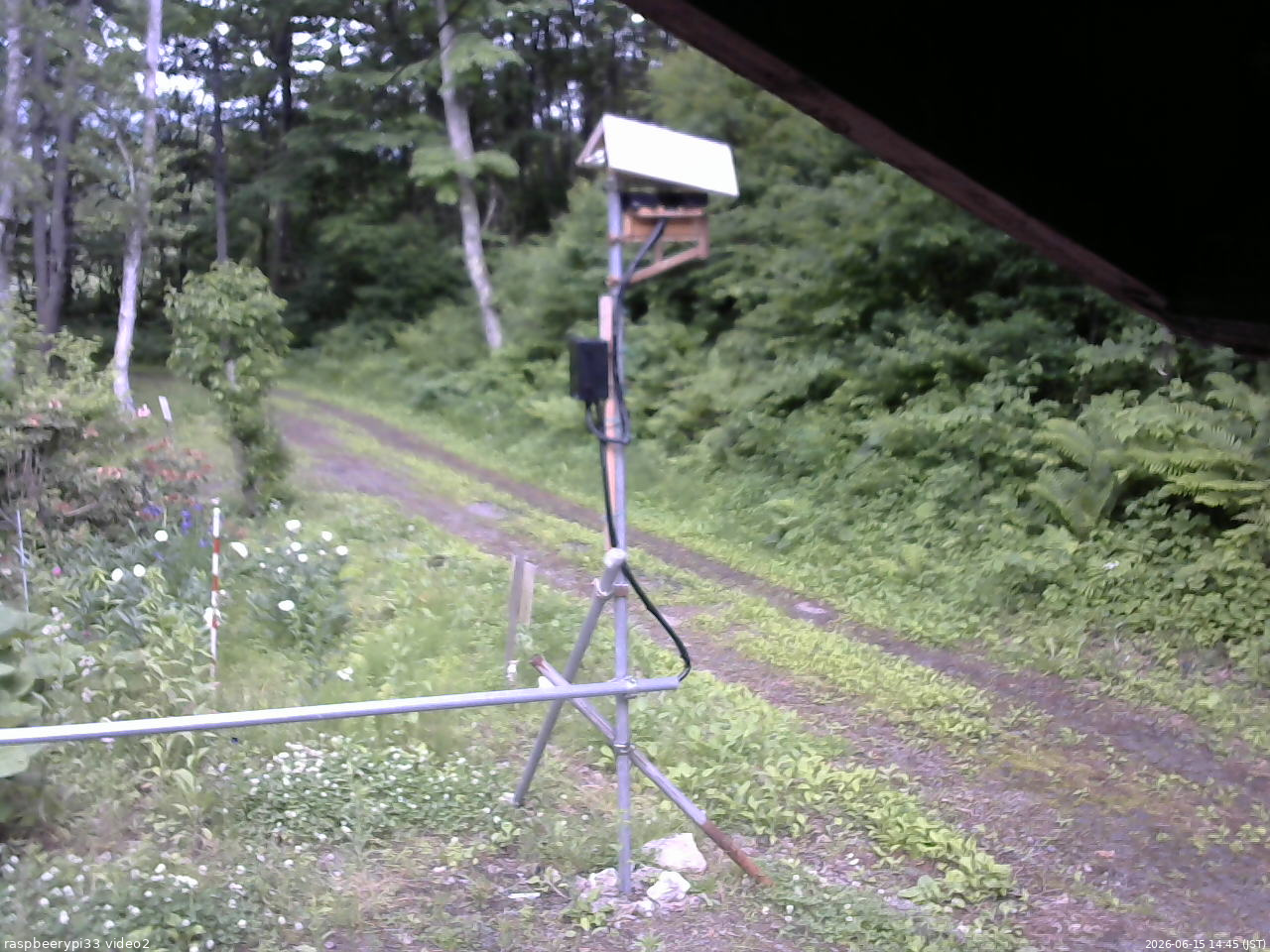 長野県菅平高原 ゆたか山荘 南側 2026/06/15 14:45