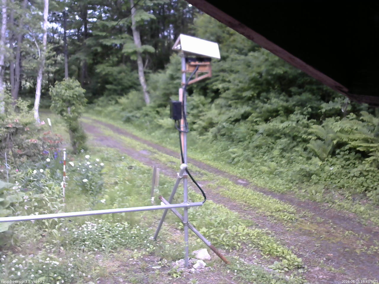 長野県菅平高原 ゆたか山荘 南側 2026/06/15 15:45