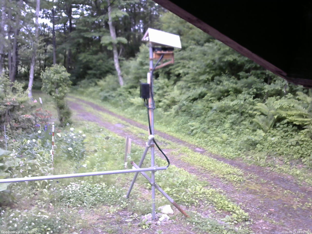 長野県菅平高原 ゆたか山荘 南側 2026/06/15 16:00