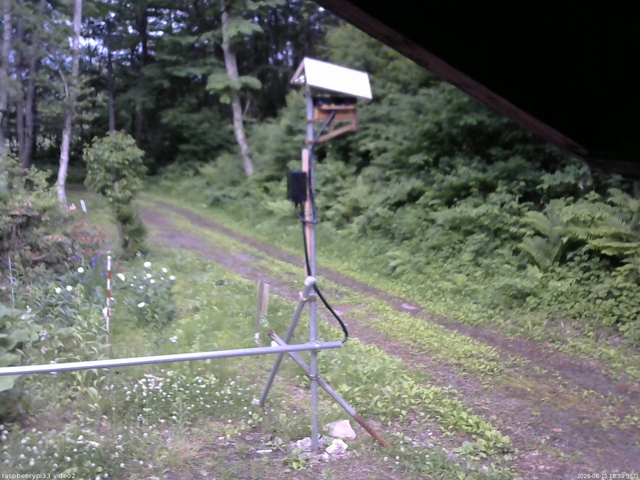 長野県菅平高原 ゆたか山荘 南側 2026/06/15 18:30