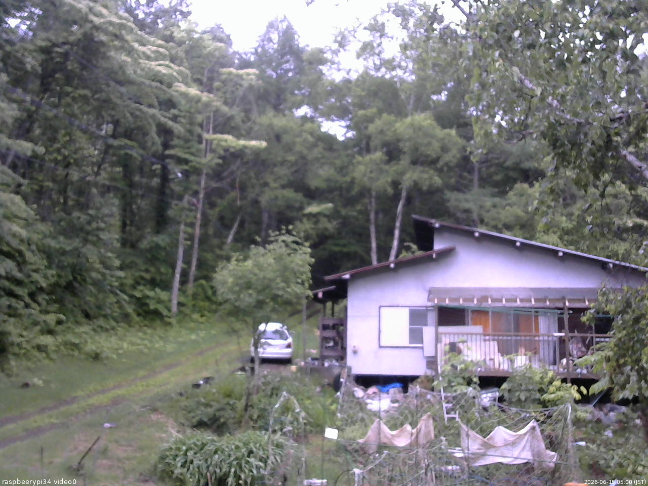 長野県菅平高原 ゆたか山荘 西側(坂上) 2026/06/15 05:00