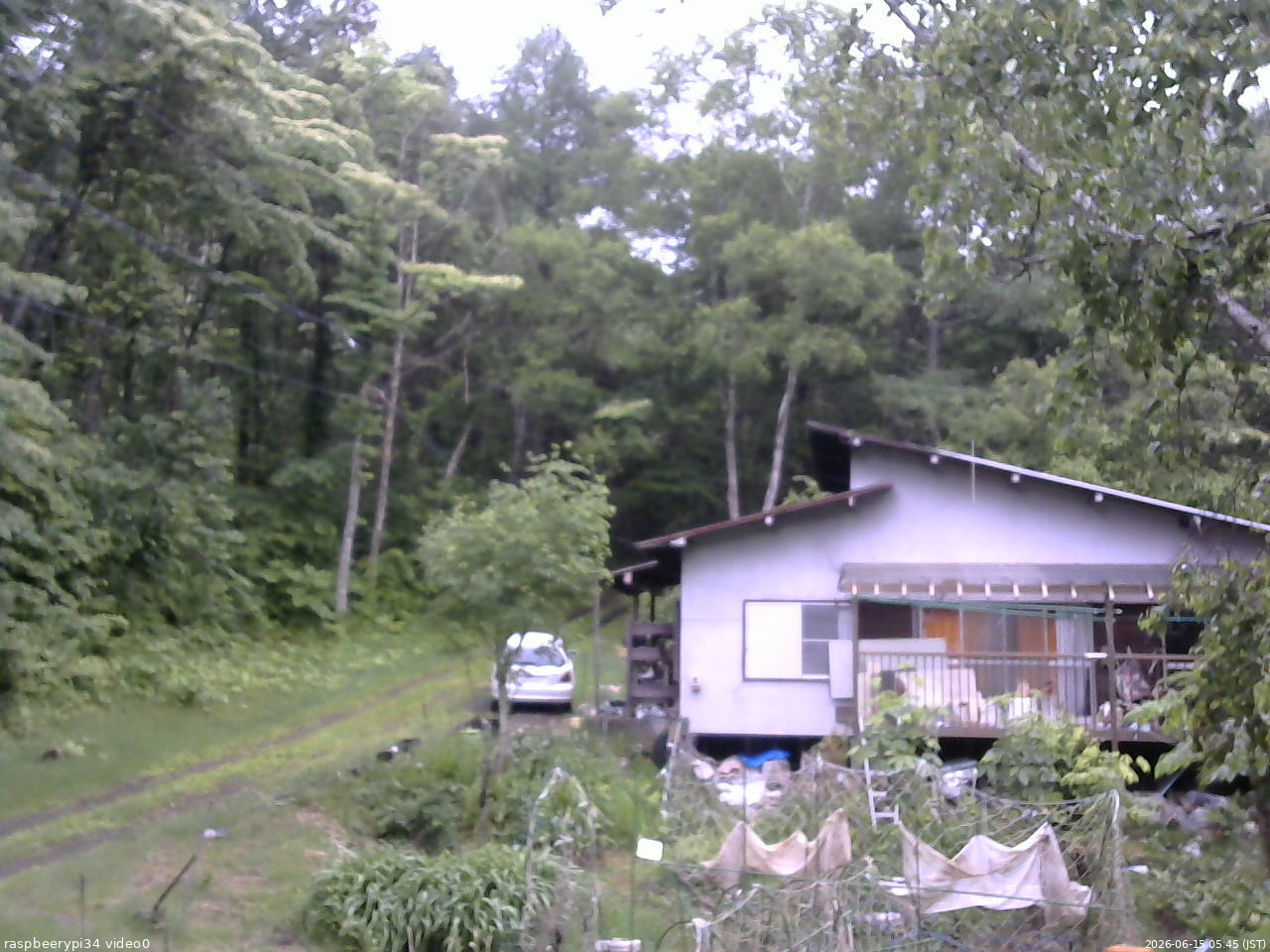 長野県菅平高原 ゆたか山荘 西側(坂上) 2026/06/15 05:45