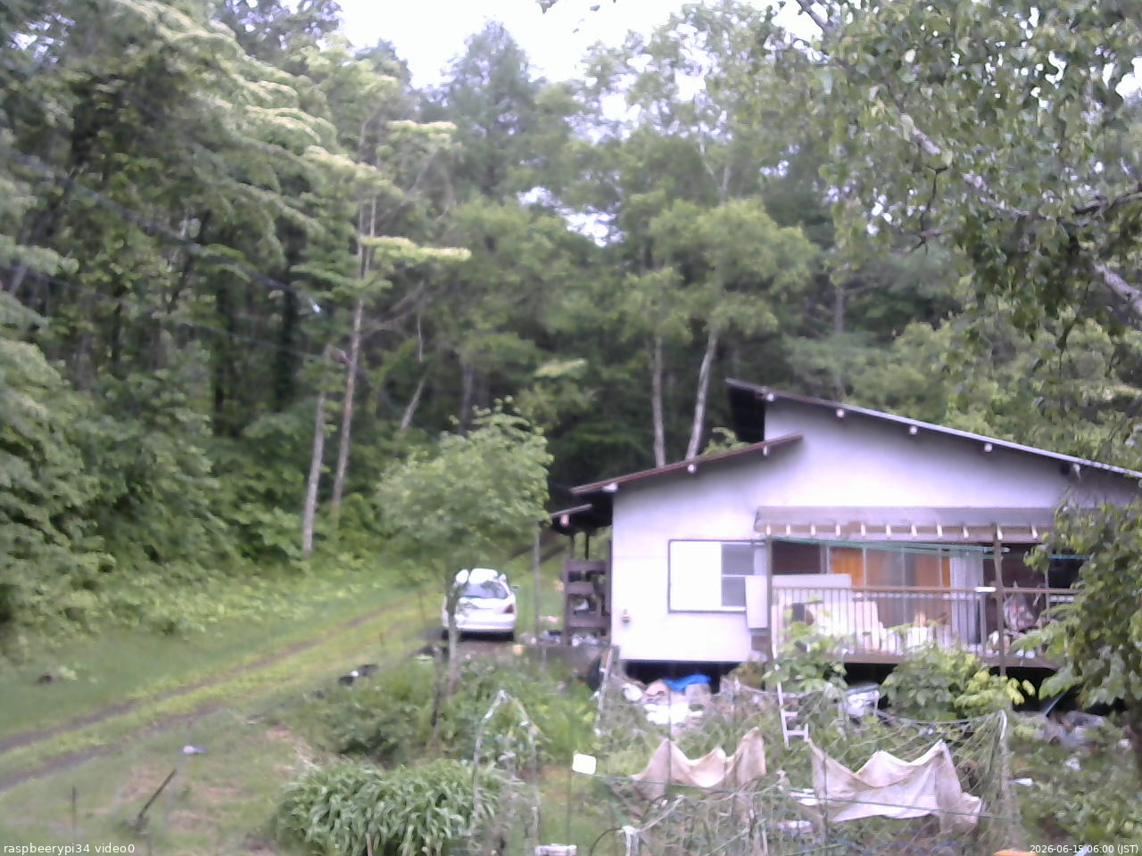 長野県菅平高原 ゆたか山荘 西側(坂上) 2026/06/15 06:00