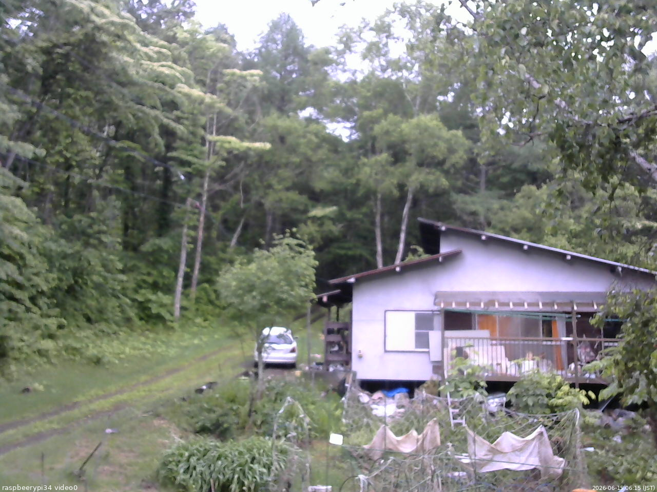 長野県菅平高原 ゆたか山荘 西側(坂上) 2026/06/15 06:15
