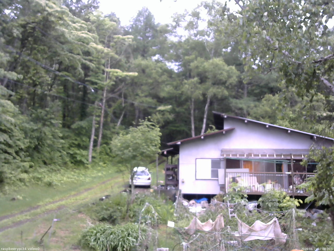 長野県菅平高原 ゆたか山荘 西側(坂上) 2026/06/15 07:00