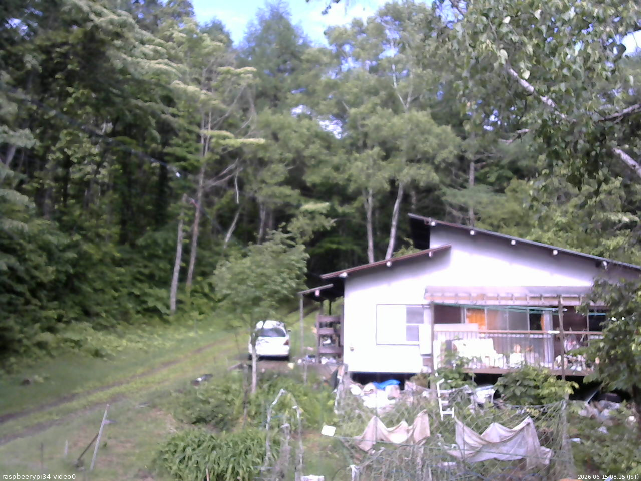 長野県菅平高原 ゆたか山荘 西側(坂上) 2026/06/15 08:15
