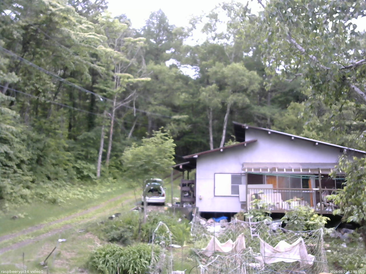 長野県菅平高原 ゆたか山荘 西側(坂上) 2026/06/15 12:45