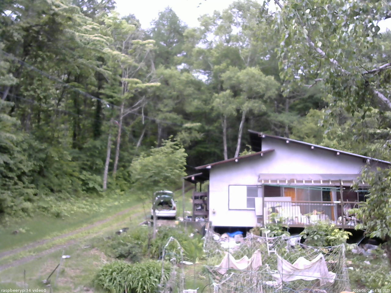長野県菅平高原 ゆたか山荘 西側(坂上) 2026/06/15 14:15