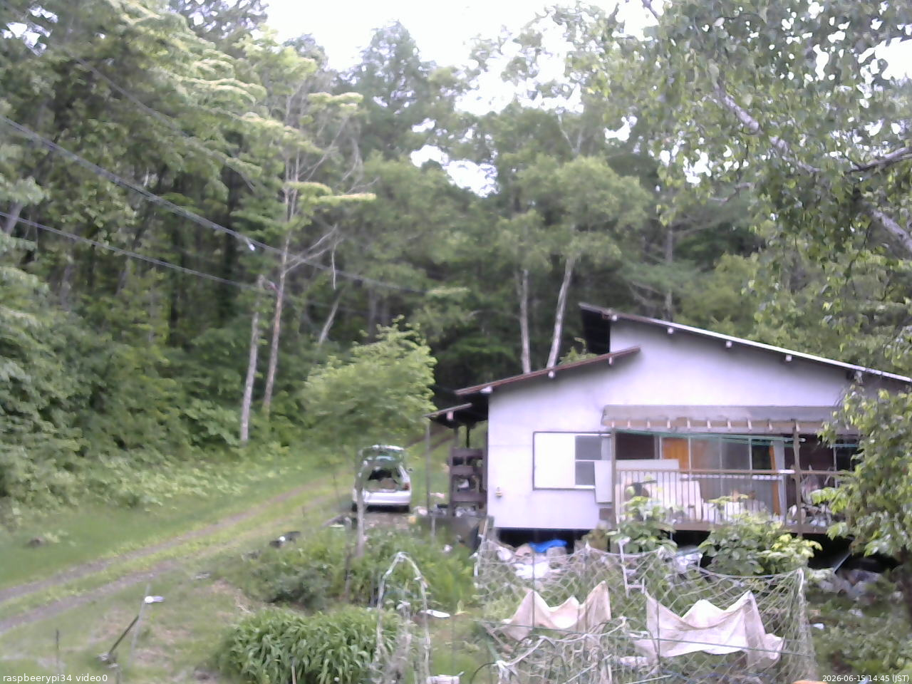 長野県菅平高原 ゆたか山荘 西側(坂上) 2026/06/15 14:45