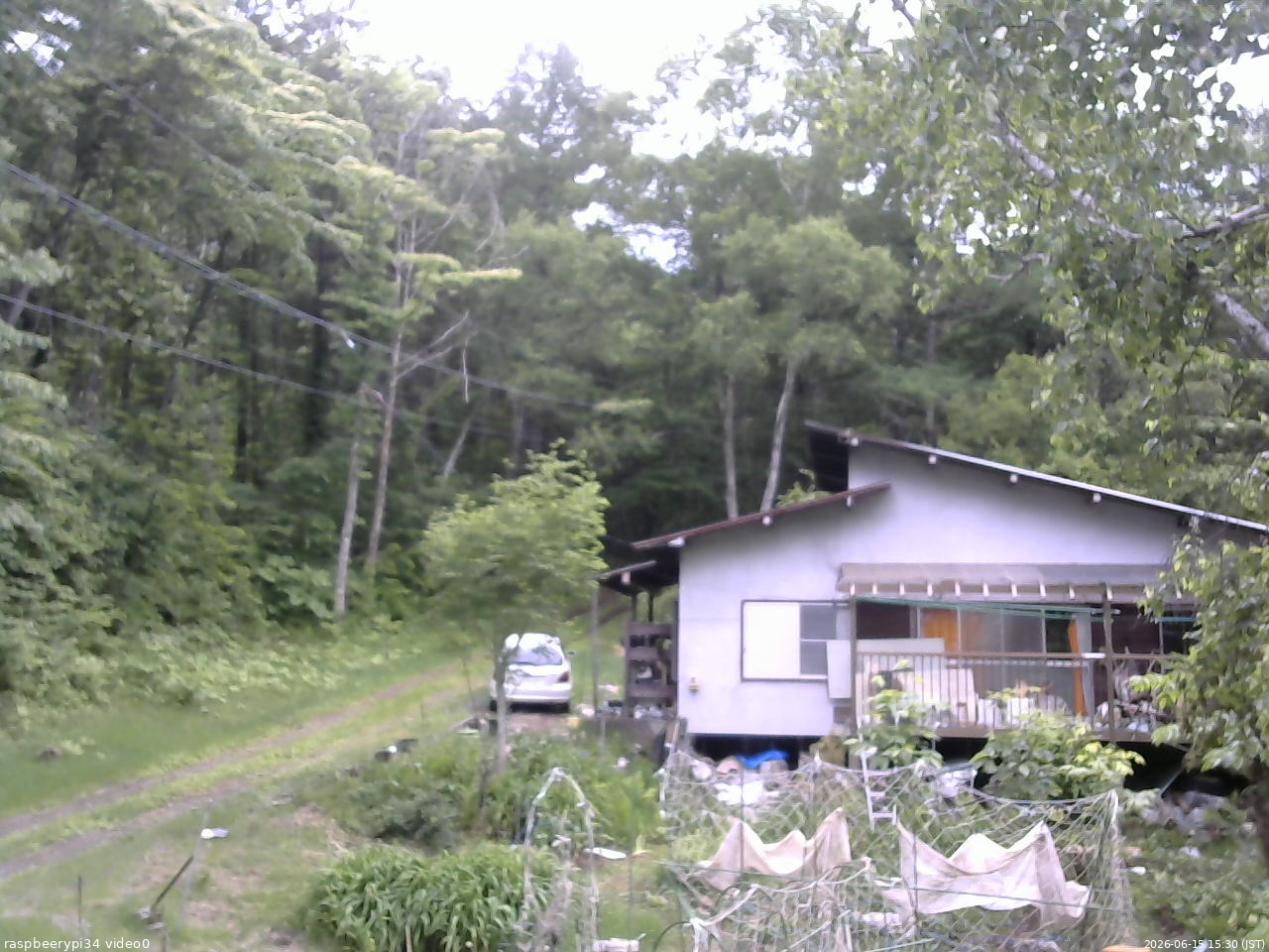 長野県菅平高原 ゆたか山荘 西側(坂上) 2026/06/15 15:30