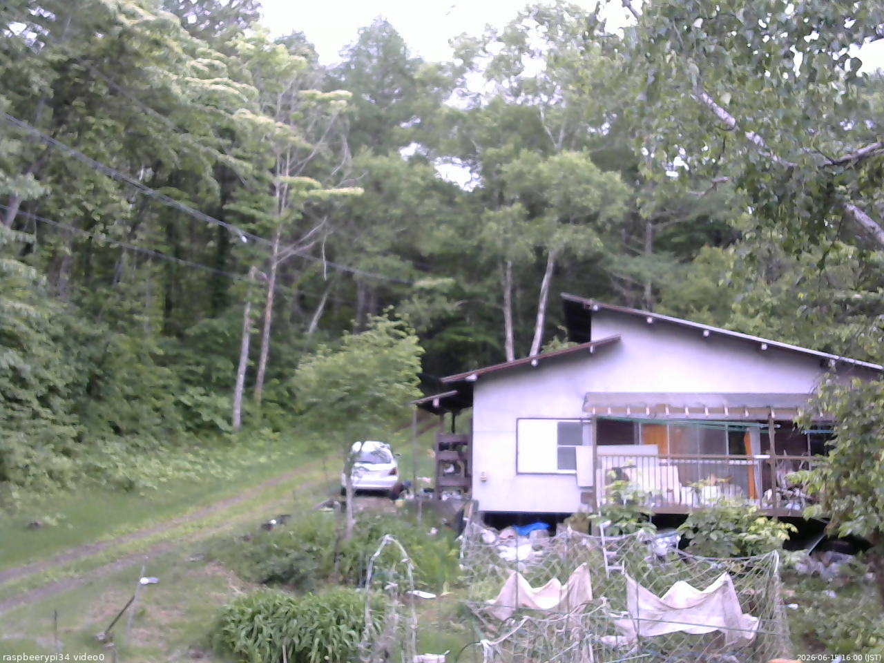 長野県菅平高原 ゆたか山荘 西側(坂上) 2026/06/15 16:00