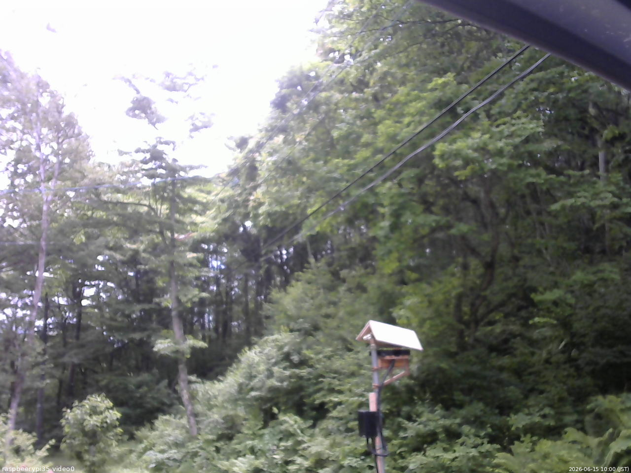 長野県菅平高原 ゆたか山荘 温度計 2026/06/15 10:00