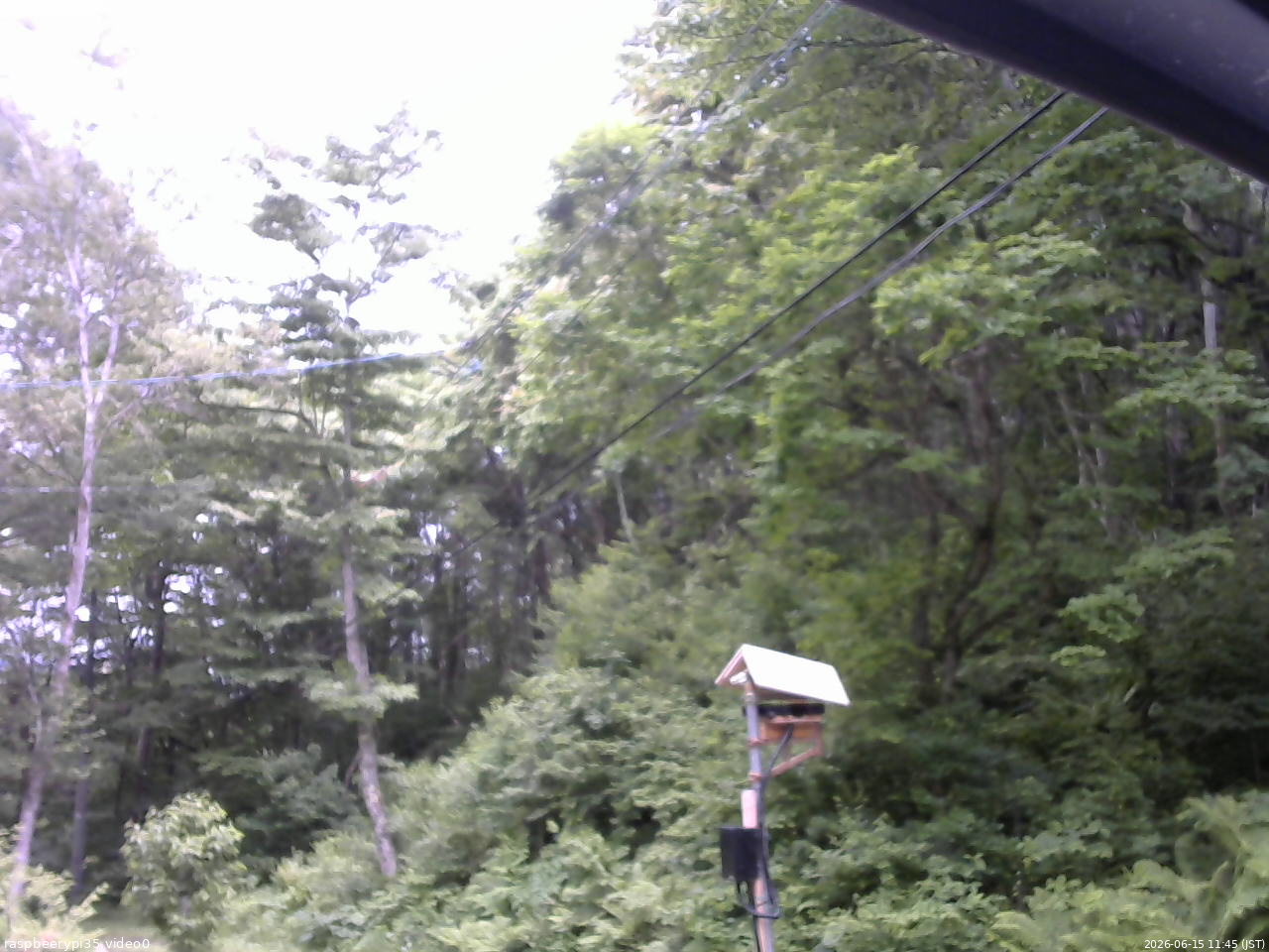 長野県菅平高原 ゆたか山荘 温度計 2026/06/15 11:45