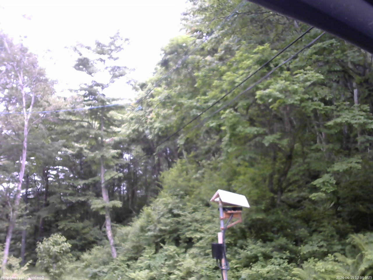 長野県菅平高原 ゆたか山荘 温度計 2026/06/15 12:00