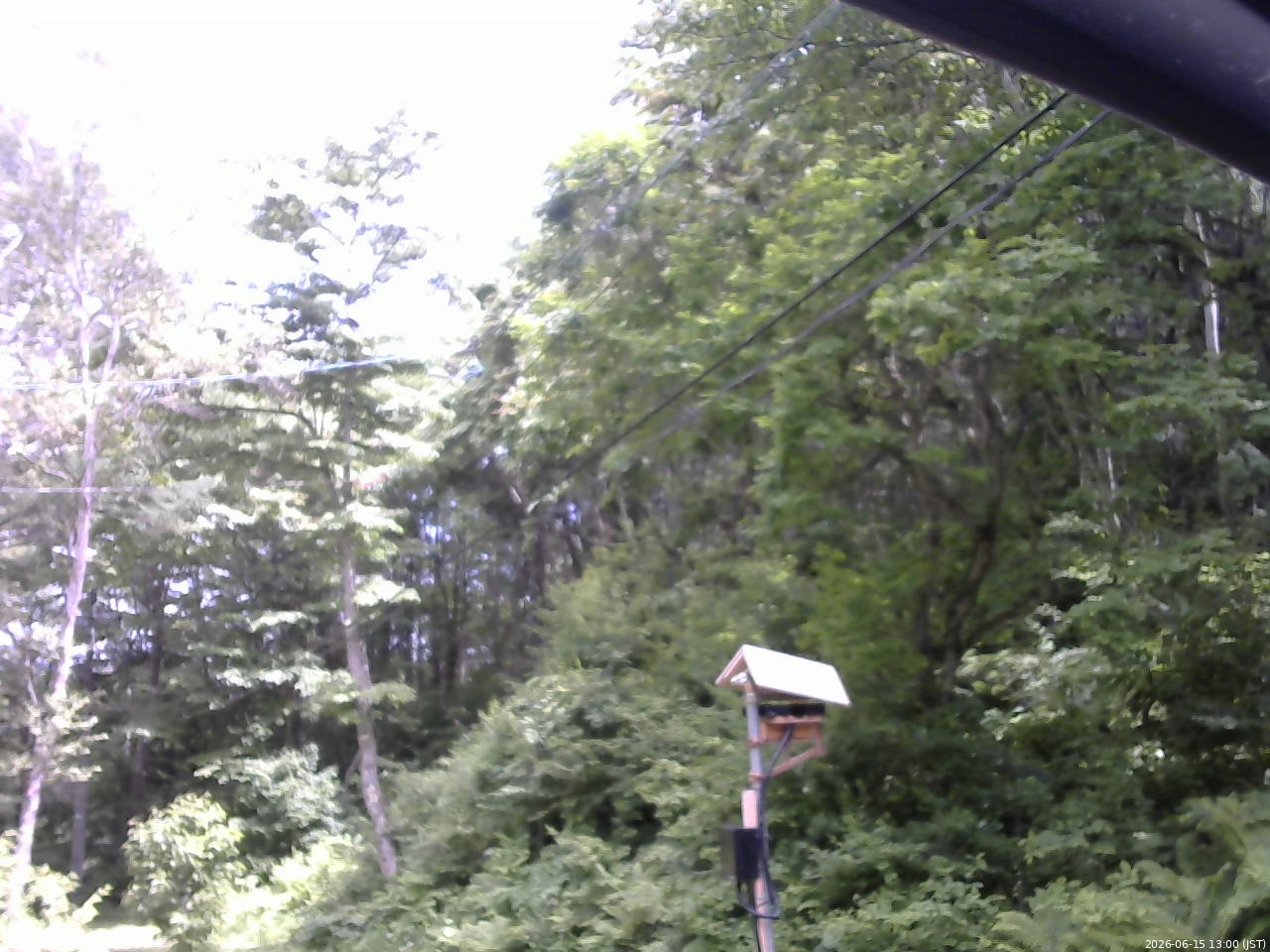 長野県菅平高原 ゆたか山荘 温度計 2026/06/15 13:00
