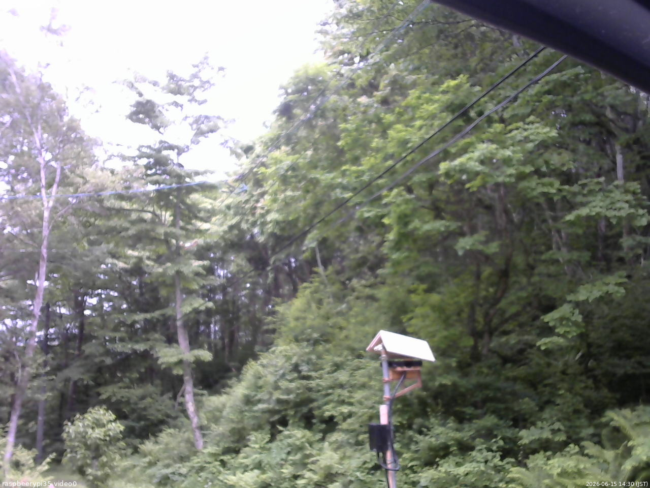 長野県菅平高原 ゆたか山荘 温度計 2026/06/15 14:30