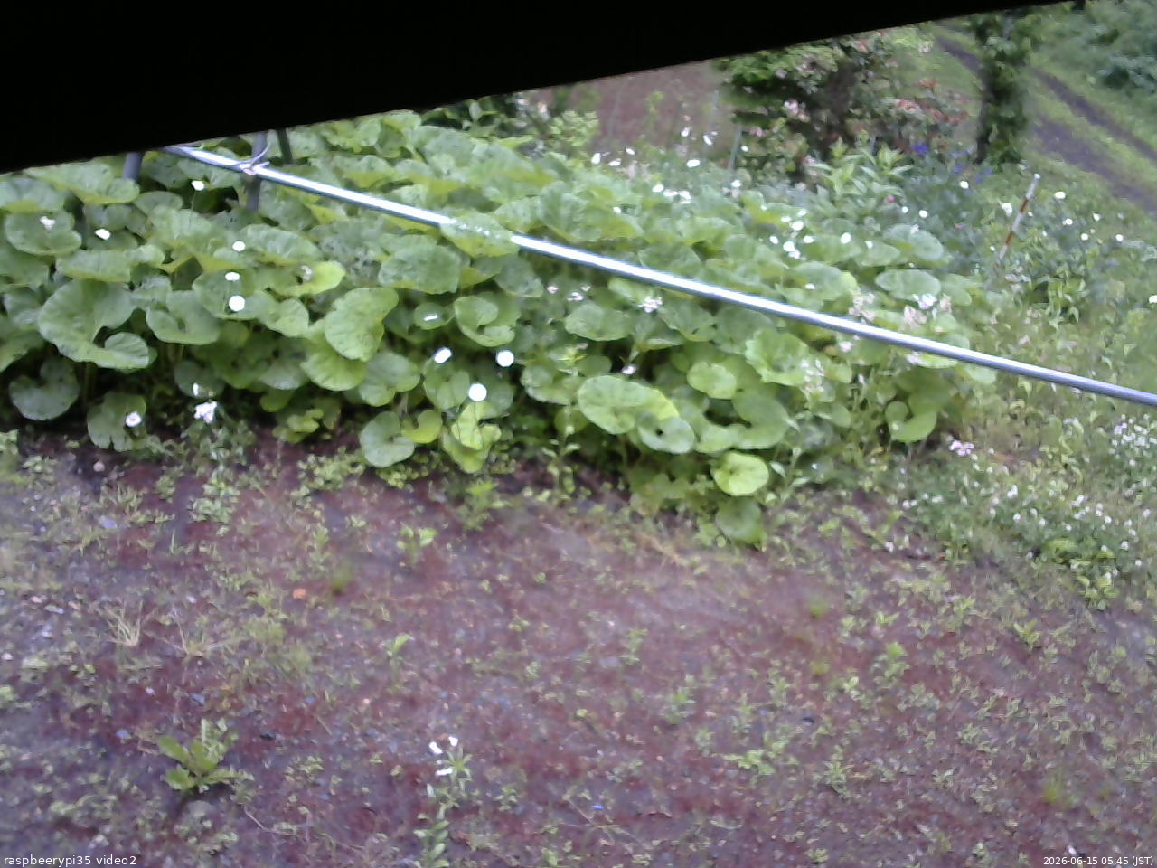 長野県菅平高原 ゆたか山荘 駐車場 2026/06/15 05:45