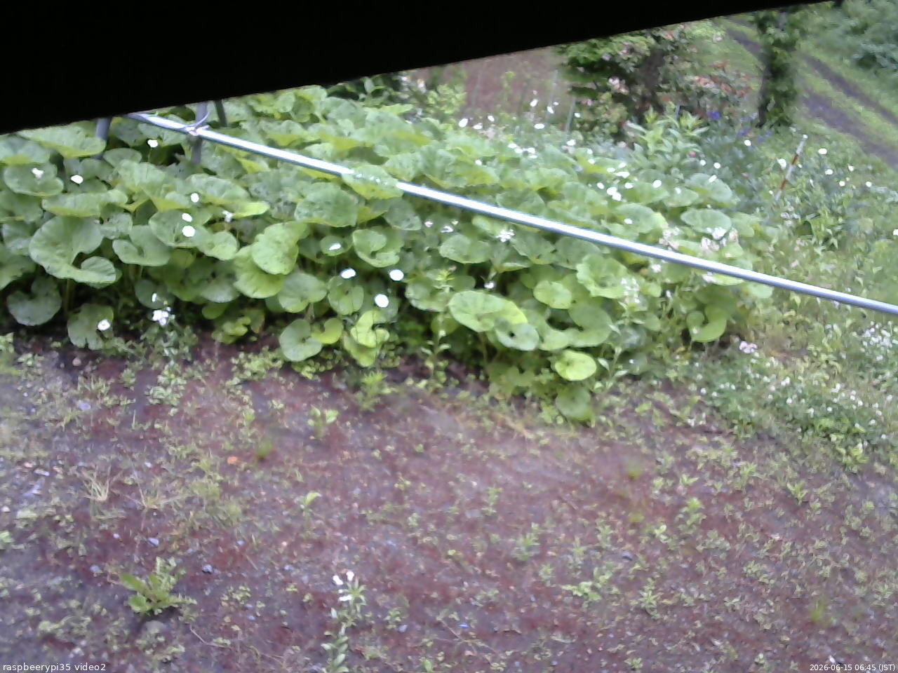 長野県菅平高原 ゆたか山荘 駐車場 2026/06/15 06:45