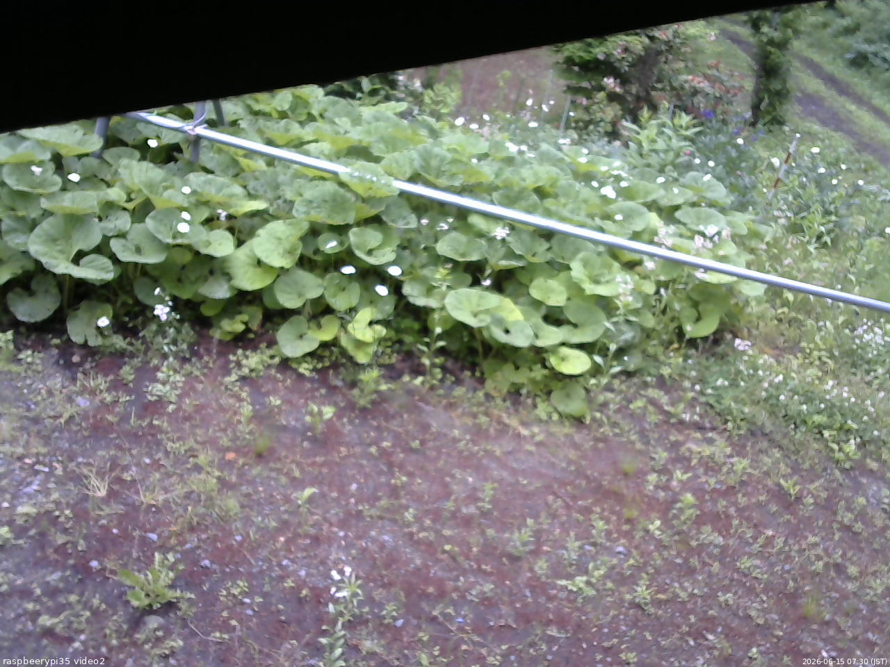 長野県菅平高原 ゆたか山荘 駐車場 2026/06/15 07:30