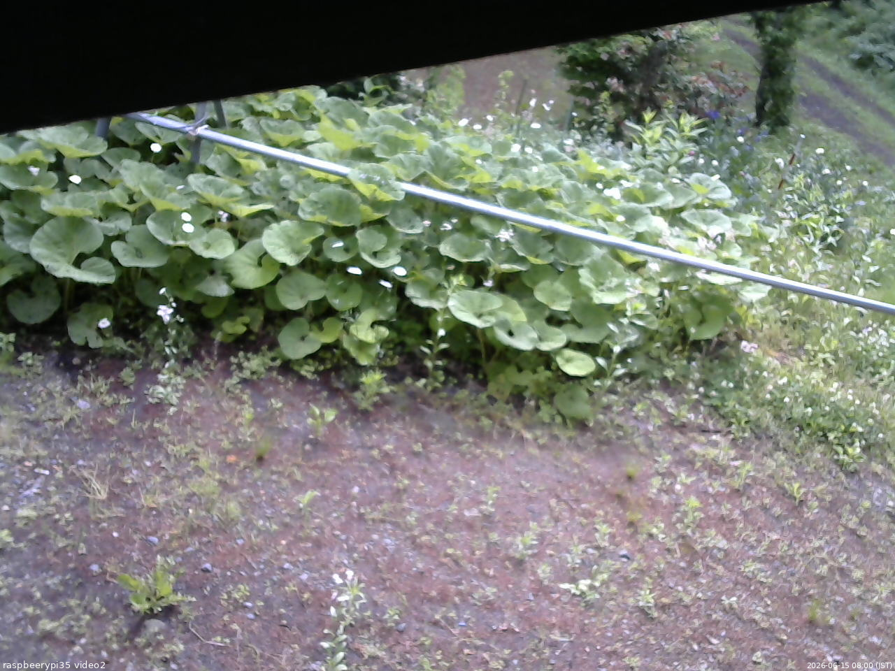 長野県菅平高原 ゆたか山荘 駐車場 2026/06/15 08:00