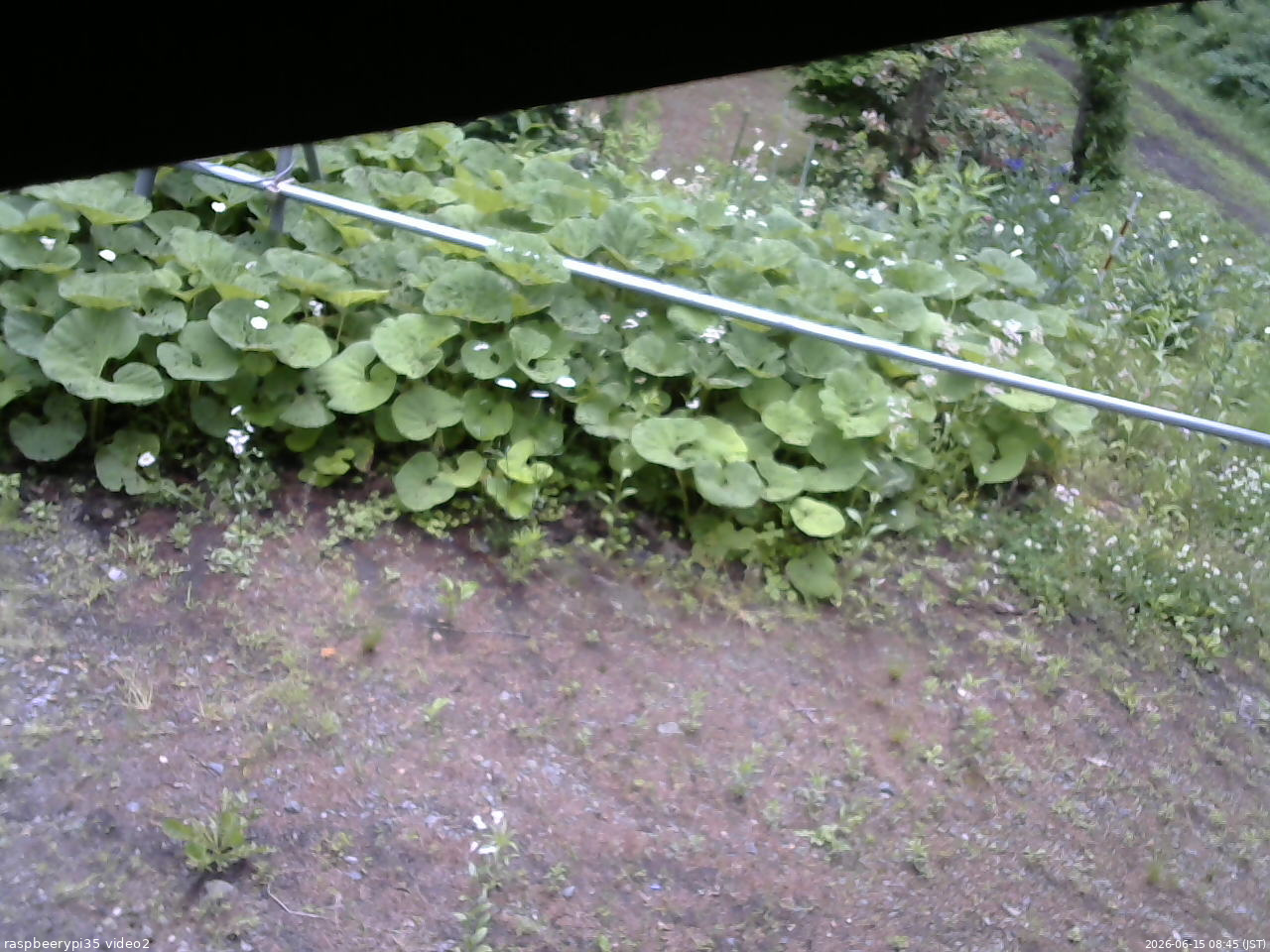 長野県菅平高原 ゆたか山荘 駐車場 2026/06/15 08:45
