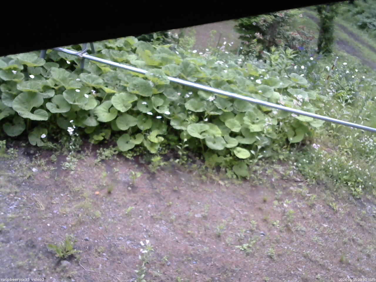長野県菅平高原 ゆたか山荘 駐車場 2026/06/15 09:00