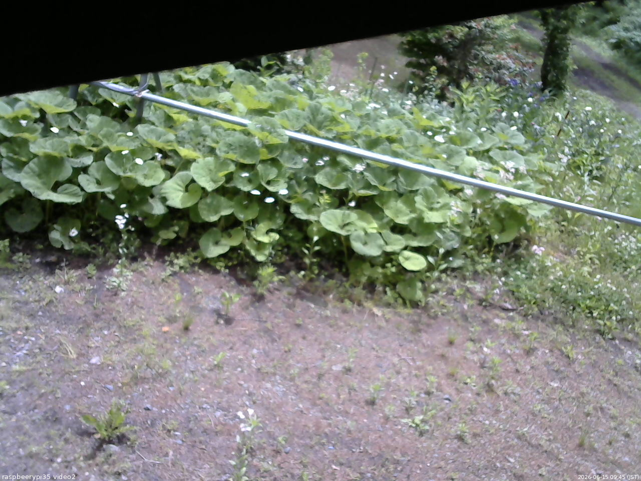 長野県菅平高原 ゆたか山荘 駐車場 2026/06/15 09:45