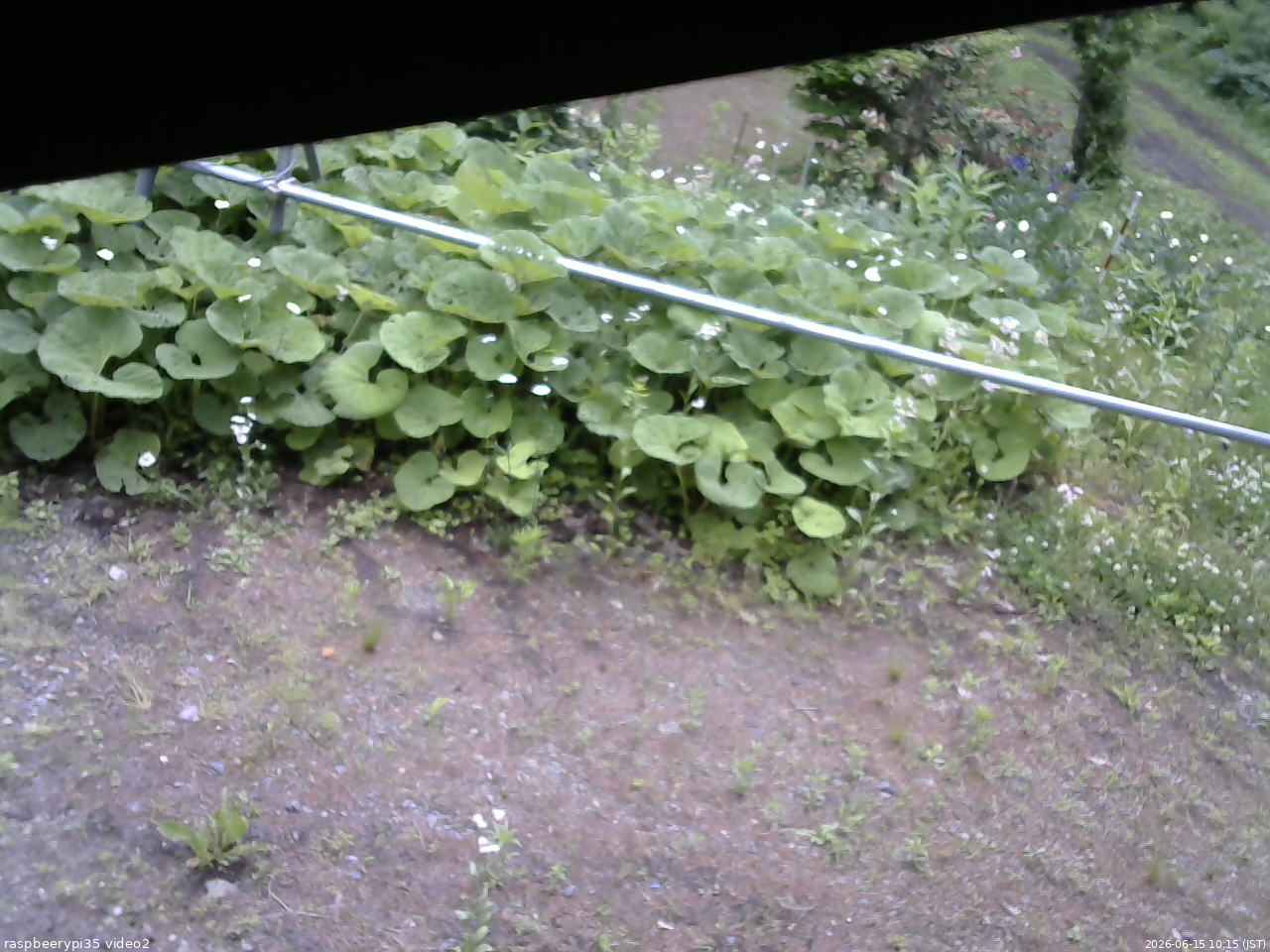 長野県菅平高原 ゆたか山荘 駐車場 2026/06/15 10:15