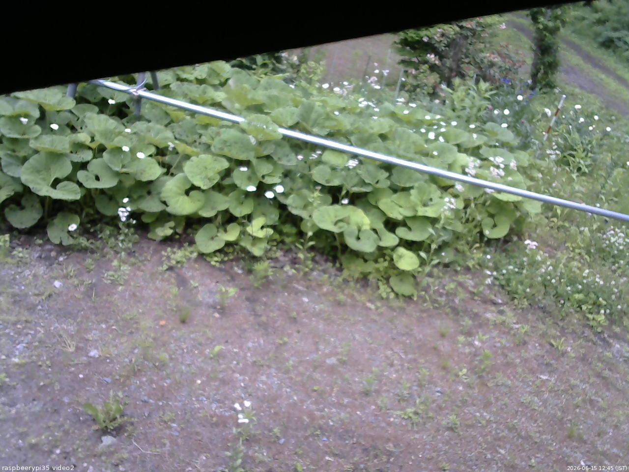 長野県菅平高原 ゆたか山荘 駐車場 2026/06/15 12:45