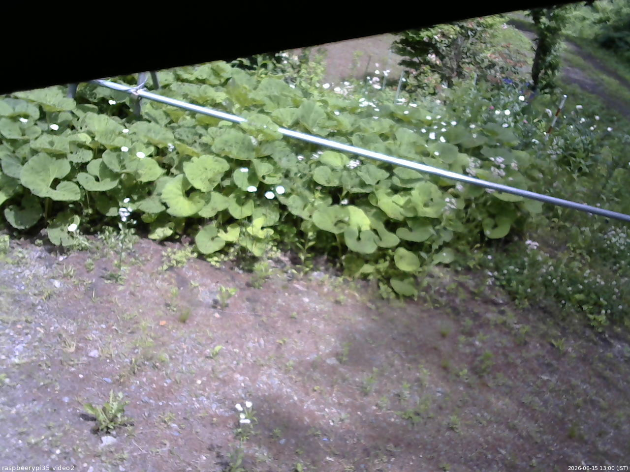 長野県菅平高原 ゆたか山荘 駐車場 2026/06/15 13:00