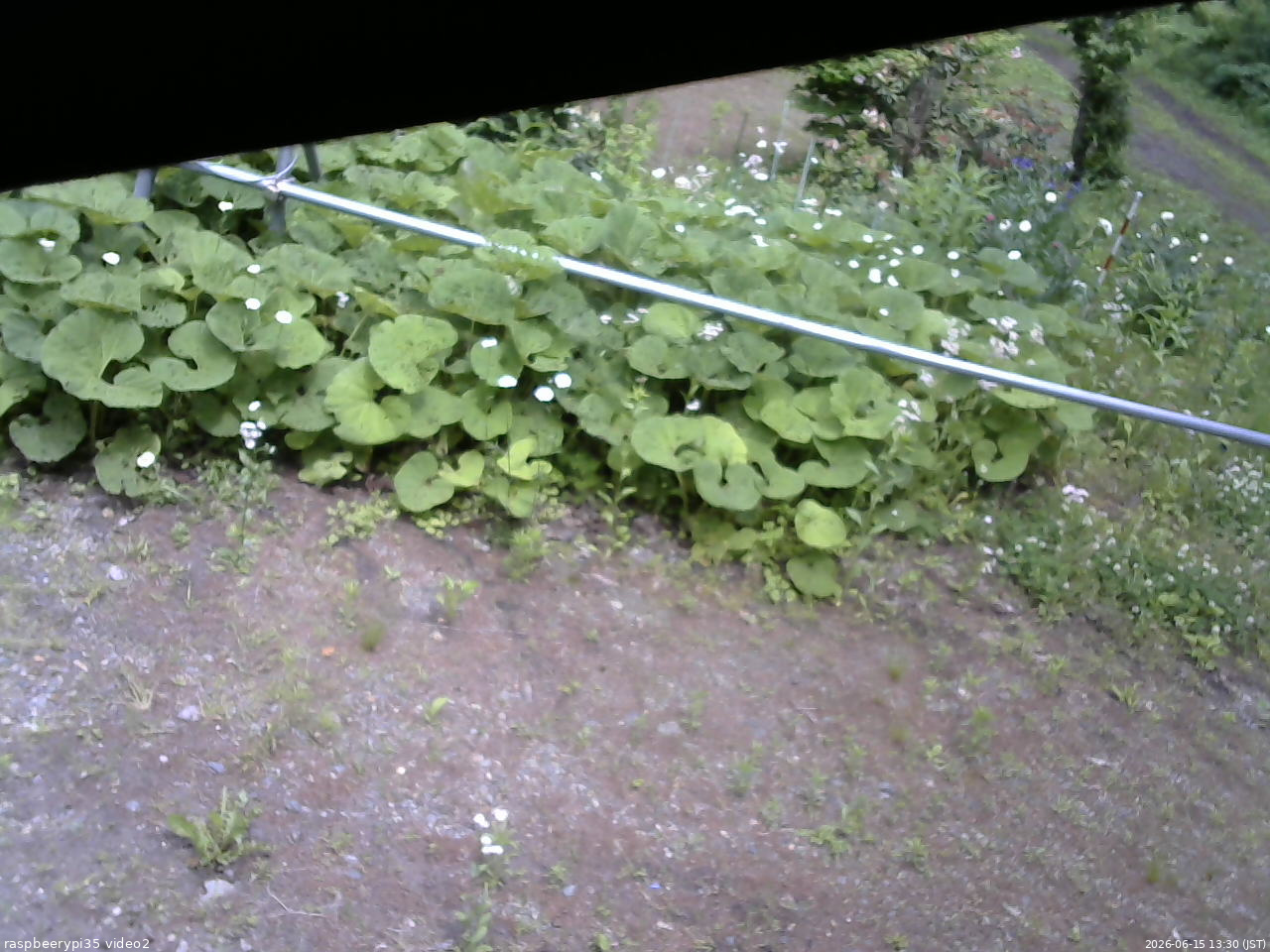 長野県菅平高原 ゆたか山荘 駐車場 2026/06/15 13:30