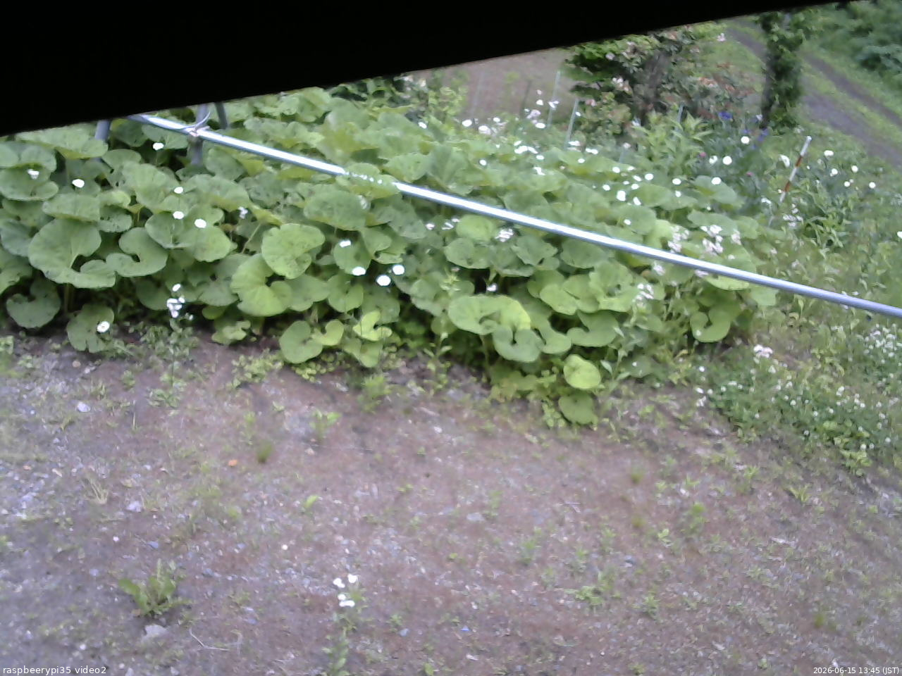 長野県菅平高原 ゆたか山荘 駐車場 2026/06/15 13:45