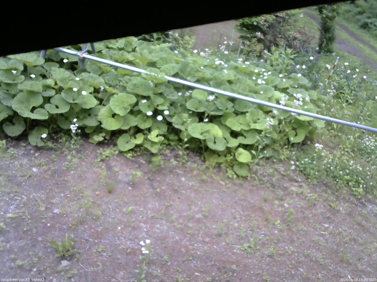 長野県菅平高原 ゆたか山荘 駐車場 2026/06/15 15:00