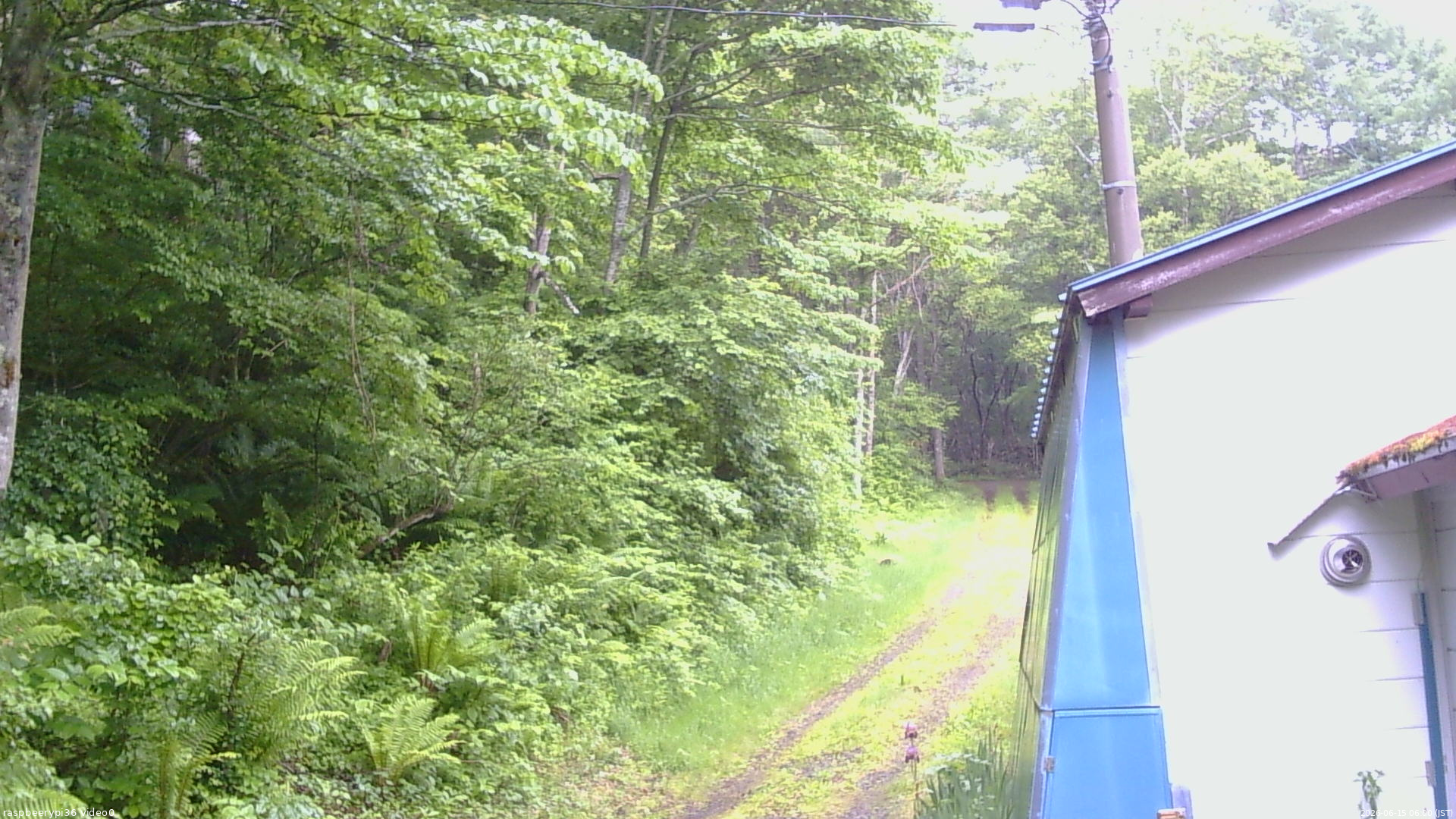 長野県菅平高原 ゆたか山荘 ゆたか山荘 2026/06/15 06:00