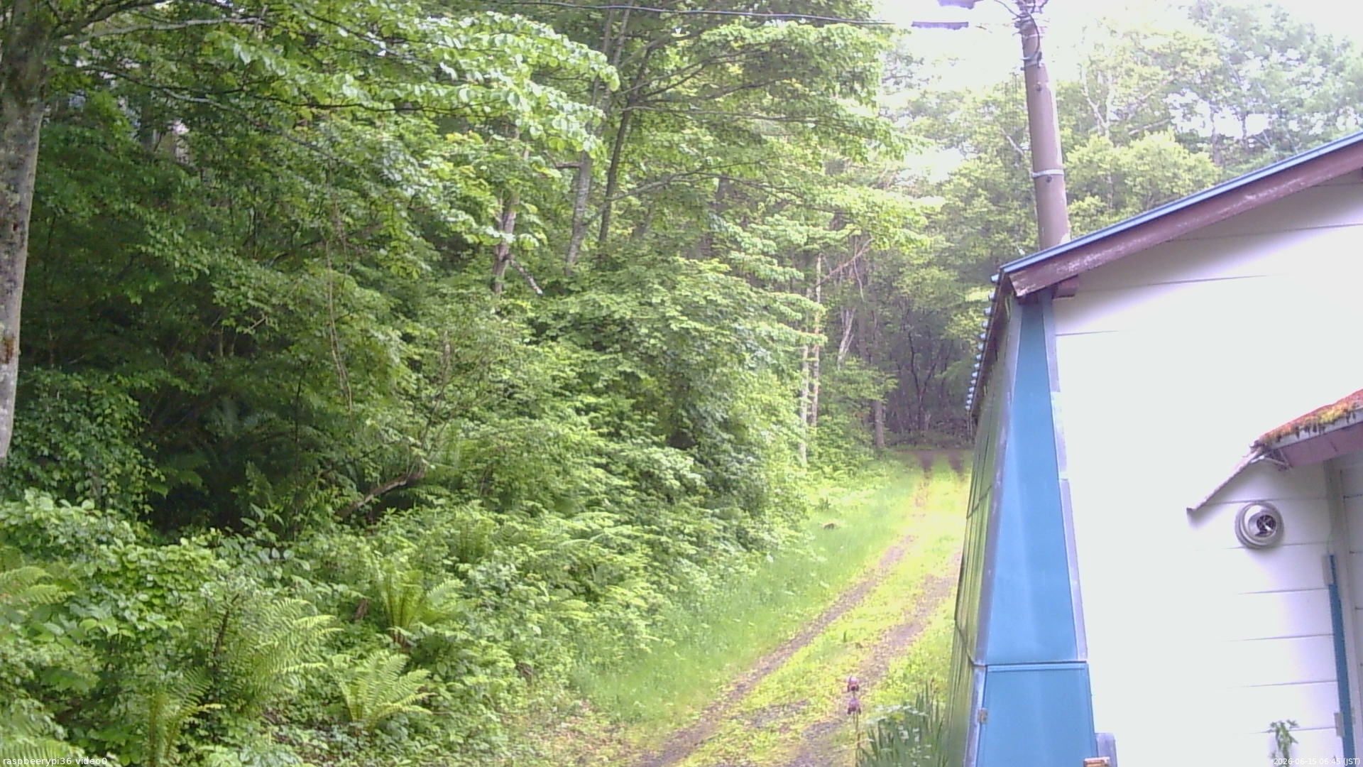 長野県菅平高原 ゆたか山荘 ゆたか山荘 2026/06/15 06:45